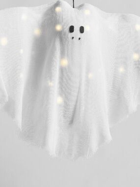 Pottery Barn Lit Ghost Hanging Bat